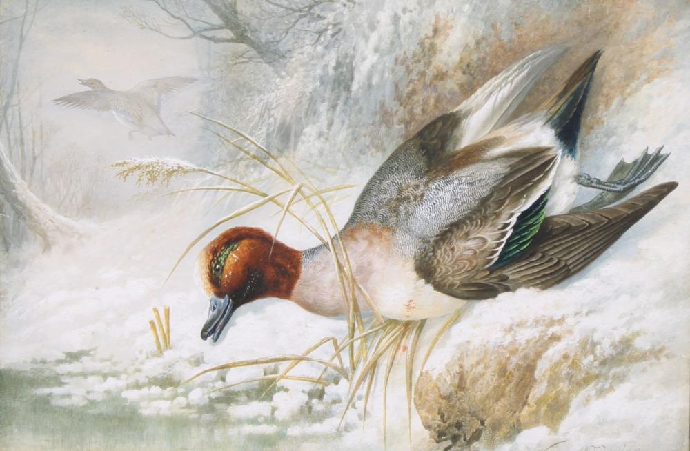 alexander francis lydon 1836 1917 a shot teal in a winter landscape signed watercolour 42 5cm x 62cm · Bamfords Auctioneers and Valuers Ltd · 2024-04-30 Alexander Francis Lydon comparable auction result: alexander francis lydon 1836 1917 a shot teal in a winter landscape signed watercolour 42 5cm x 62cm