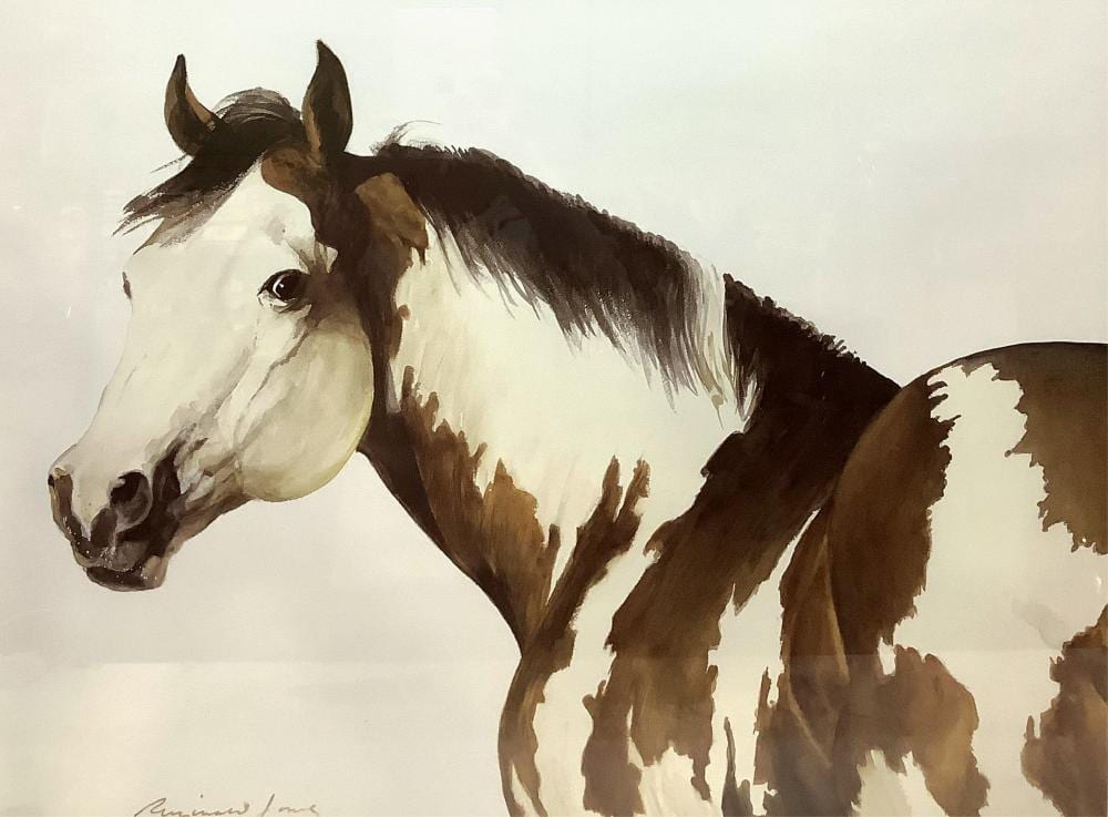 Reginald Jones comparable auction result: reginald jones arizona paint framed print