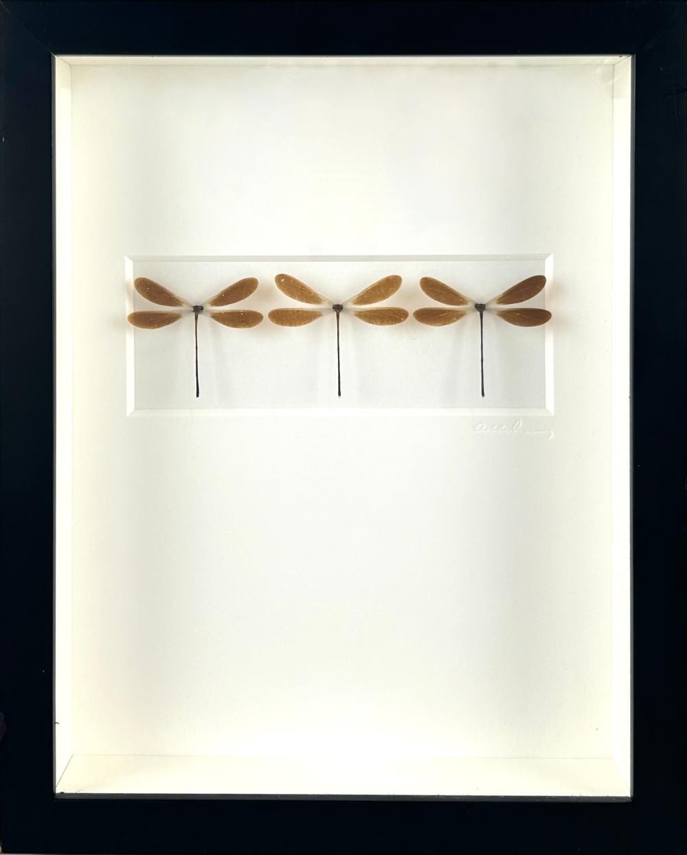 Christopher Marley comparable auction result: christopher marley america contemporary damselfly trio 15 5 x 12 5