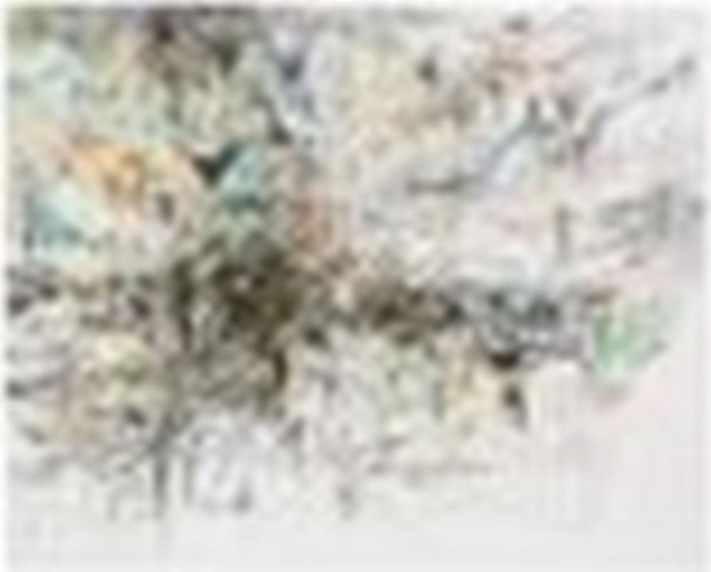 Julie Mehretu (B. 1970) Fever graph (algorithm for serendipity) acrylic, in comparable sale