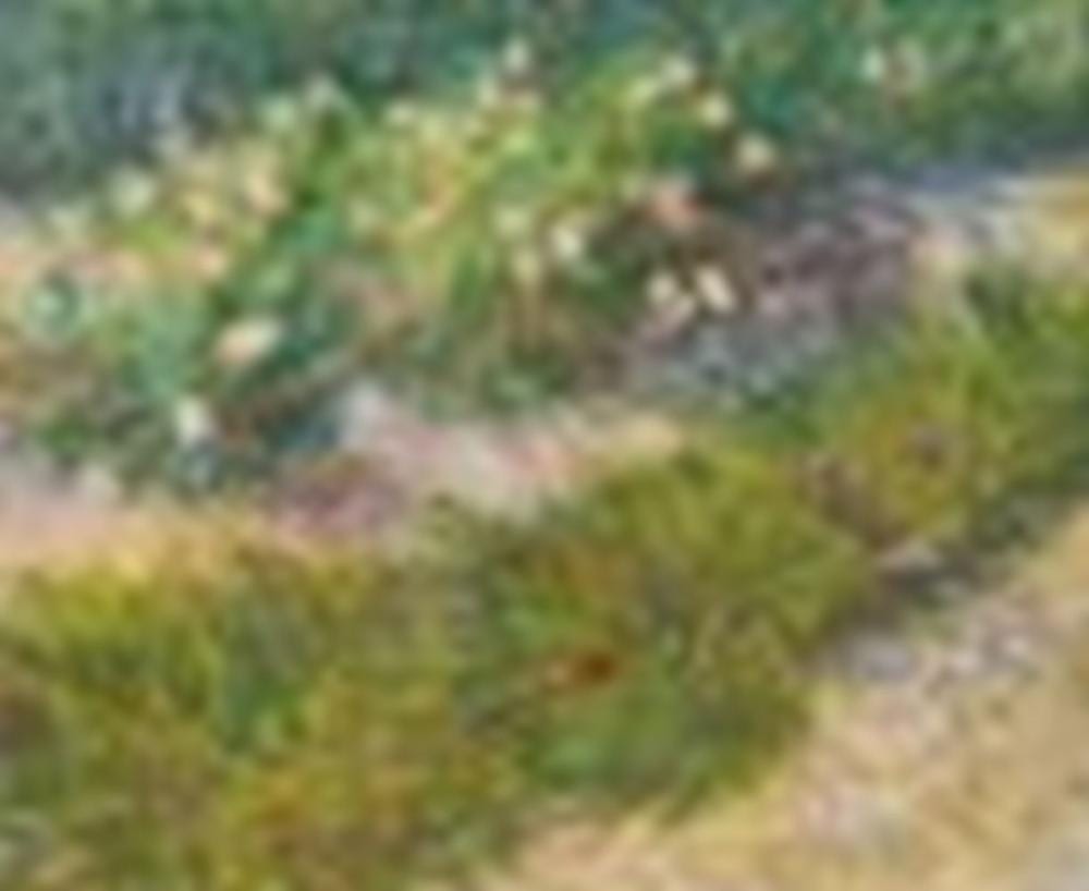 Vincent van Gogh (1853-1890) Coin de jardin avec papillons oil on canvas 19 comparable sale
