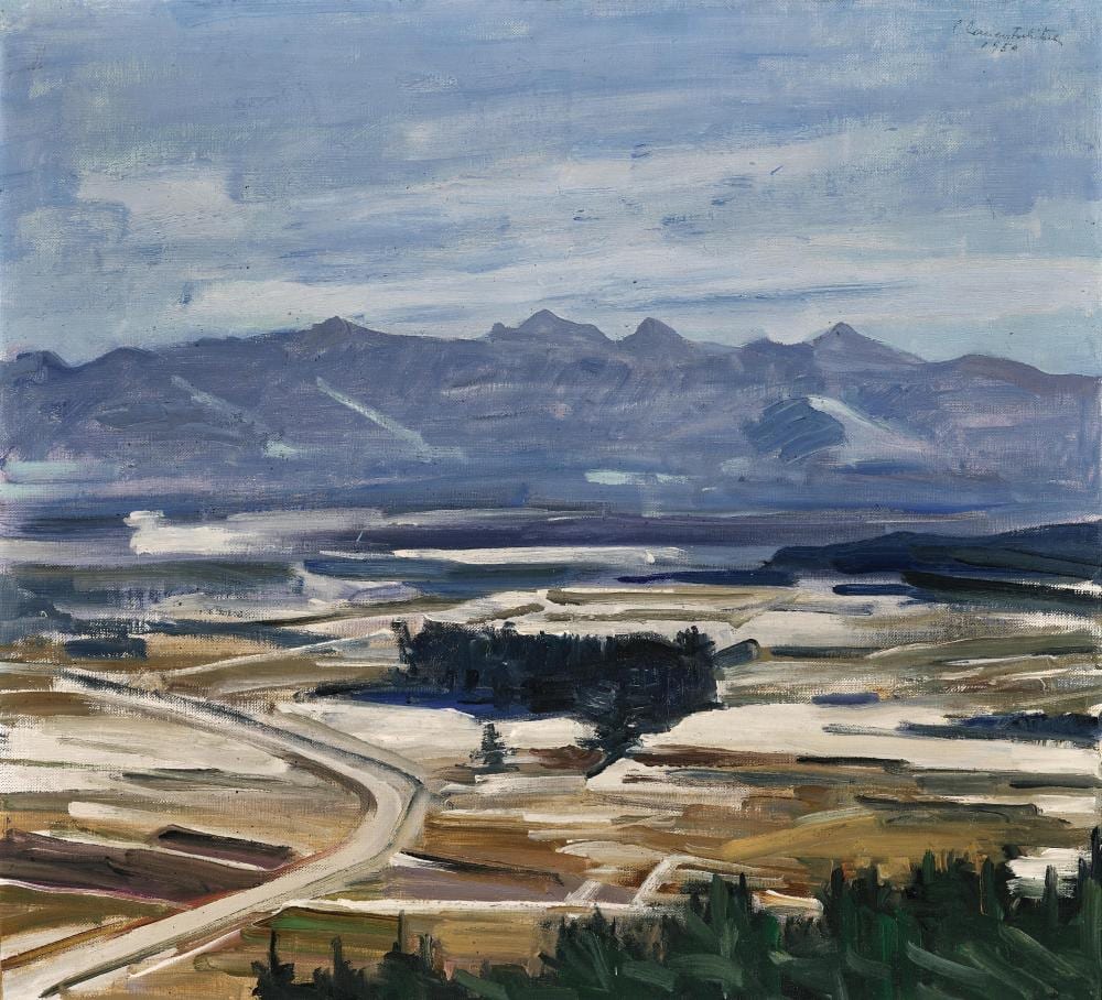 Arnold Clementschitsch comparable auction result: arnold clementschitsch