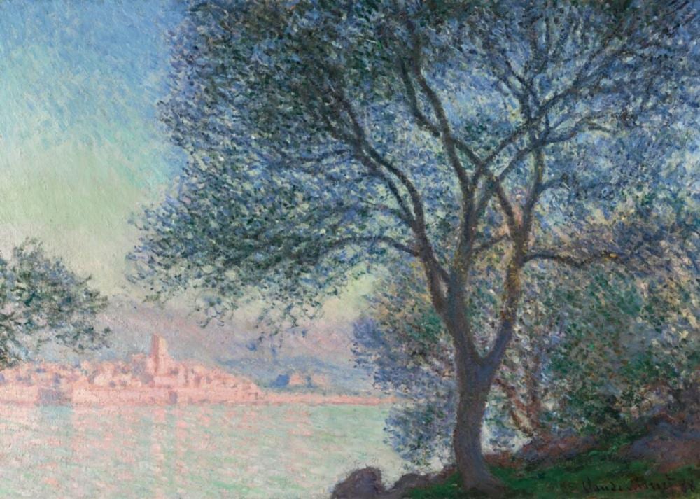 Antibes vue de la Salis comparable sale