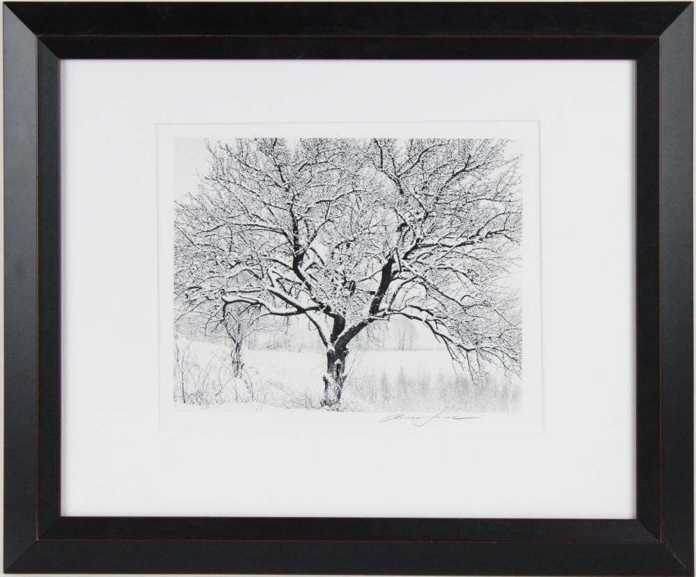 roman loranc polish 1956 wild pear black white photograph · Nye & Company · 2024-05-15 Roman Loranc comparable auction result: roman loranc polish 1956 wild pear black white photograph
