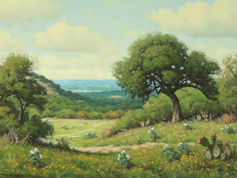 Don Warren comparable auction result: don warren texas hill countryside