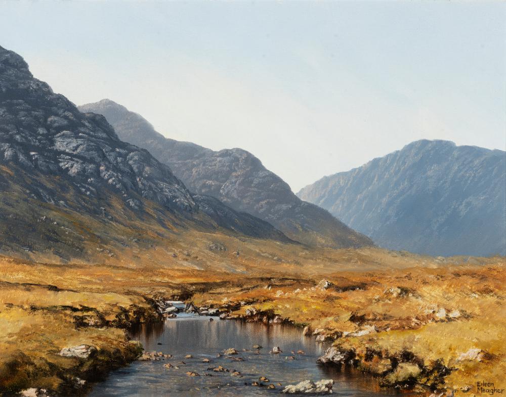 Eileen Meagher comparable auction result: eileen meagher b 1946 connemara landscape oil on canvas 40 5 x 50 7cm 16 x 20 signed