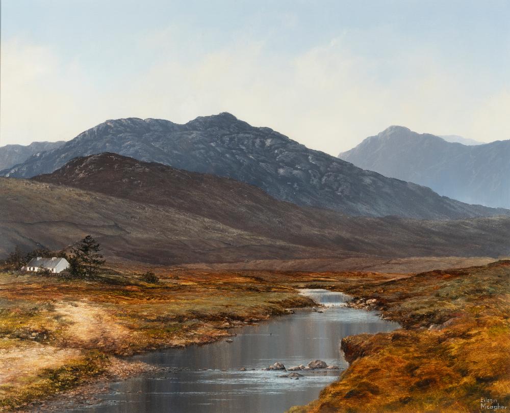 Eileen Meagher comparable auction result: eileen meagher b 1946 lough inagh connemara 1990 oil on canvas 51 x 61cm 20 x 24 signed also signed and inscribed verso