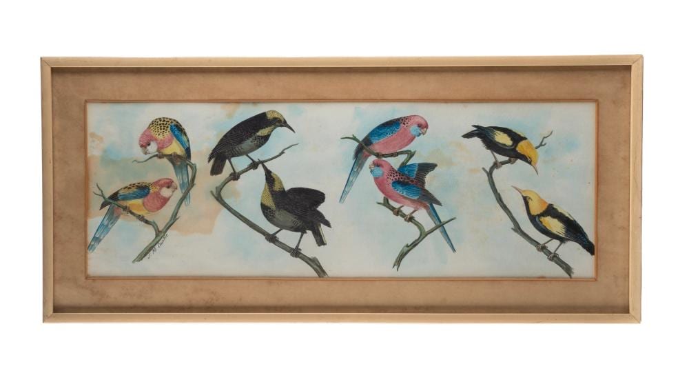 John Mitchell Cantle comparable auction result: john mitchell cantle 1849 1919 two framed bird studies depicting four male and female pairs watercolour signed j m cantle 16 x 46cm 24 x 54 5cm overall