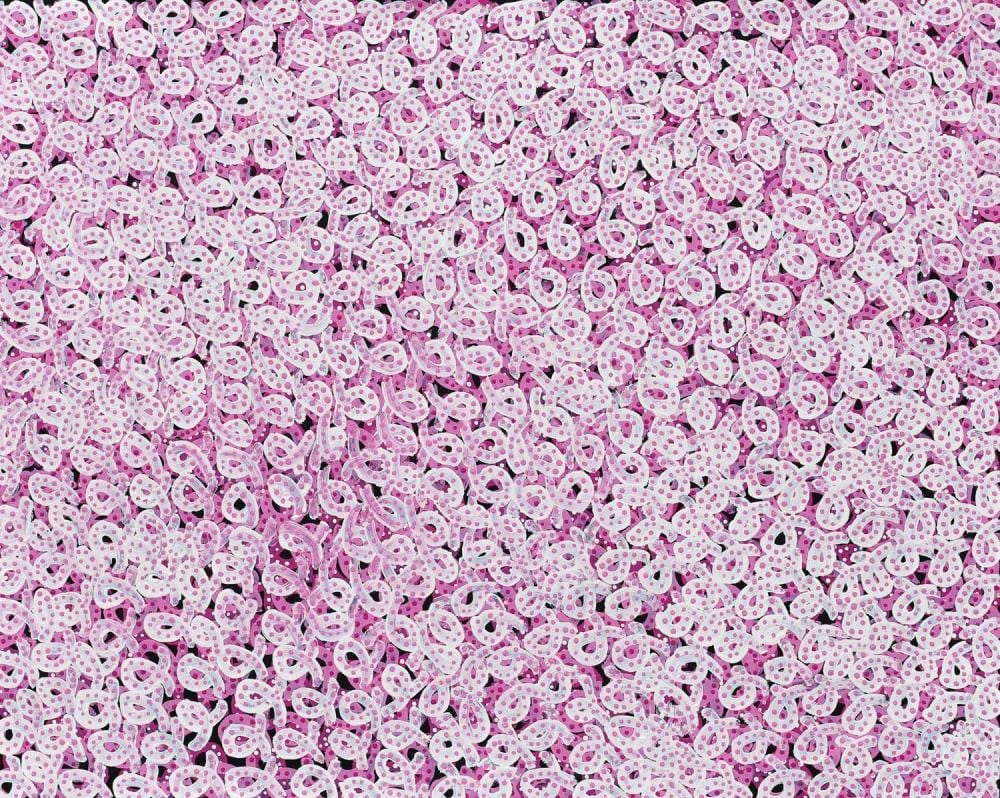 felicity robertson nampitjinpa soakage acrylic on linen comes with certificate of authenticity painted in 2022 artwork is stretched and ready to hang 79cm x 98cm · Ozbid Auctions · 2024-05-19 Felicity Robertson comparable auction result: felicity robertson nampitjinpa soakage acrylic on linen comes with certificate of authenticity painted in 2022 artwork is stretched and ready to hang 79cm x 98cm
