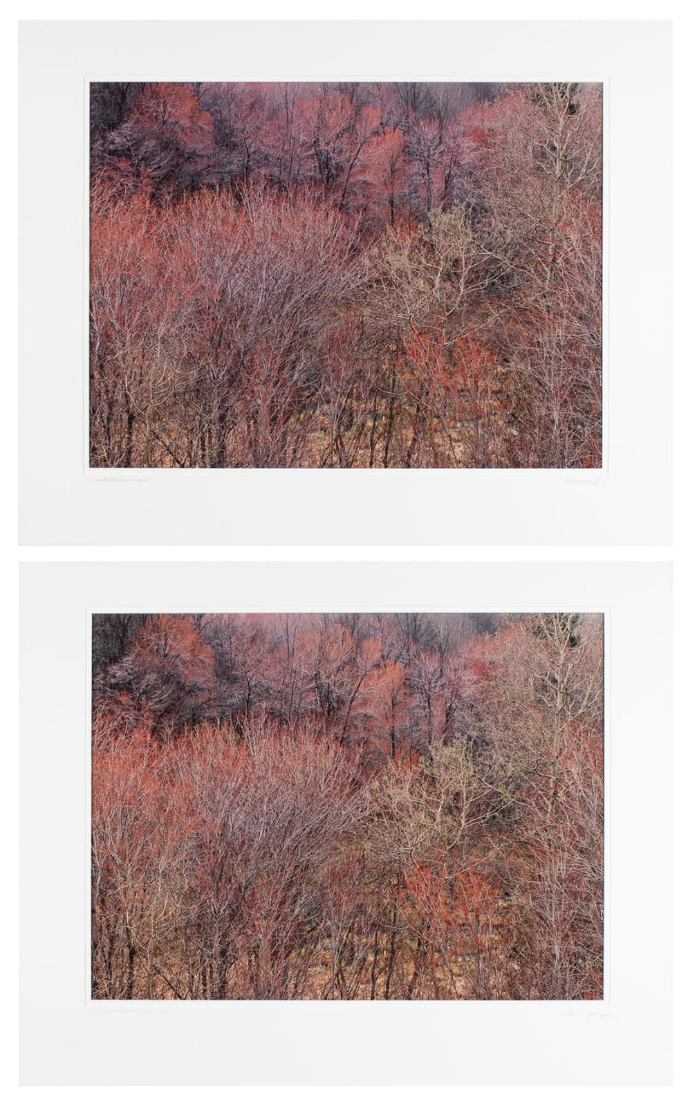 John Wawrzonek comparable auction result: john wawrzonek american b 1941