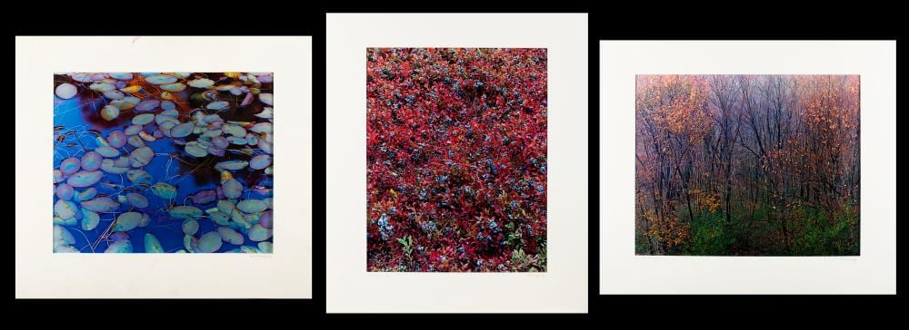 John Wawrzonek comparable auction result: john wawrzonek american b 1941
