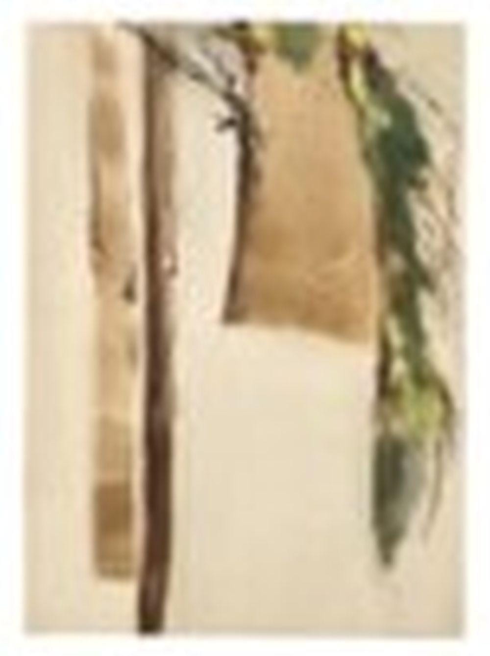 Farideh Lashaie comparable auction result: farideh lashai 1944 tehran 2013 tehran untitled gouache and pastel on