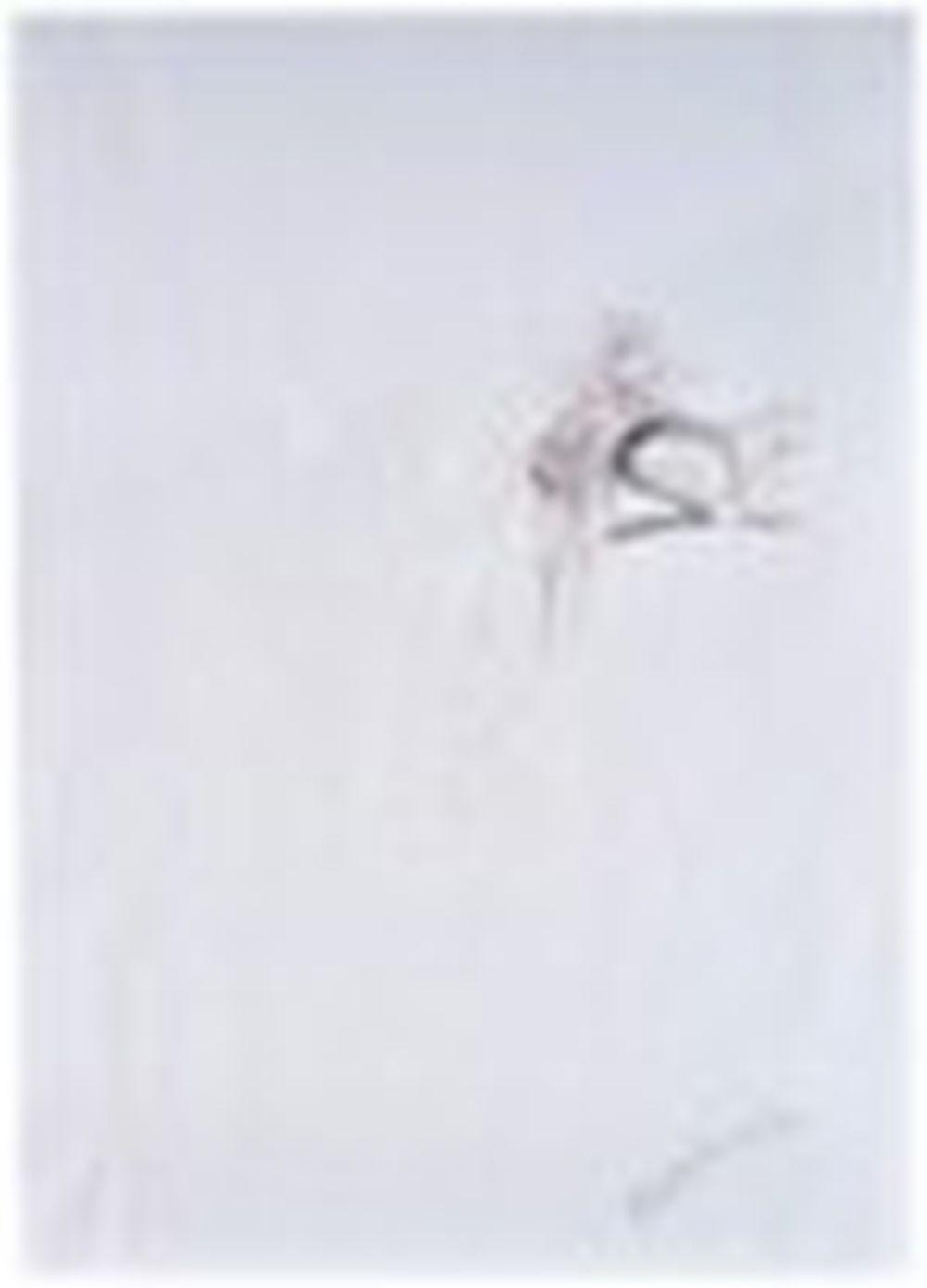Gino DeDominicis comparable auction result: gino de dominicis 1947 1998 senza titolo la scopatina inchiostro e bian