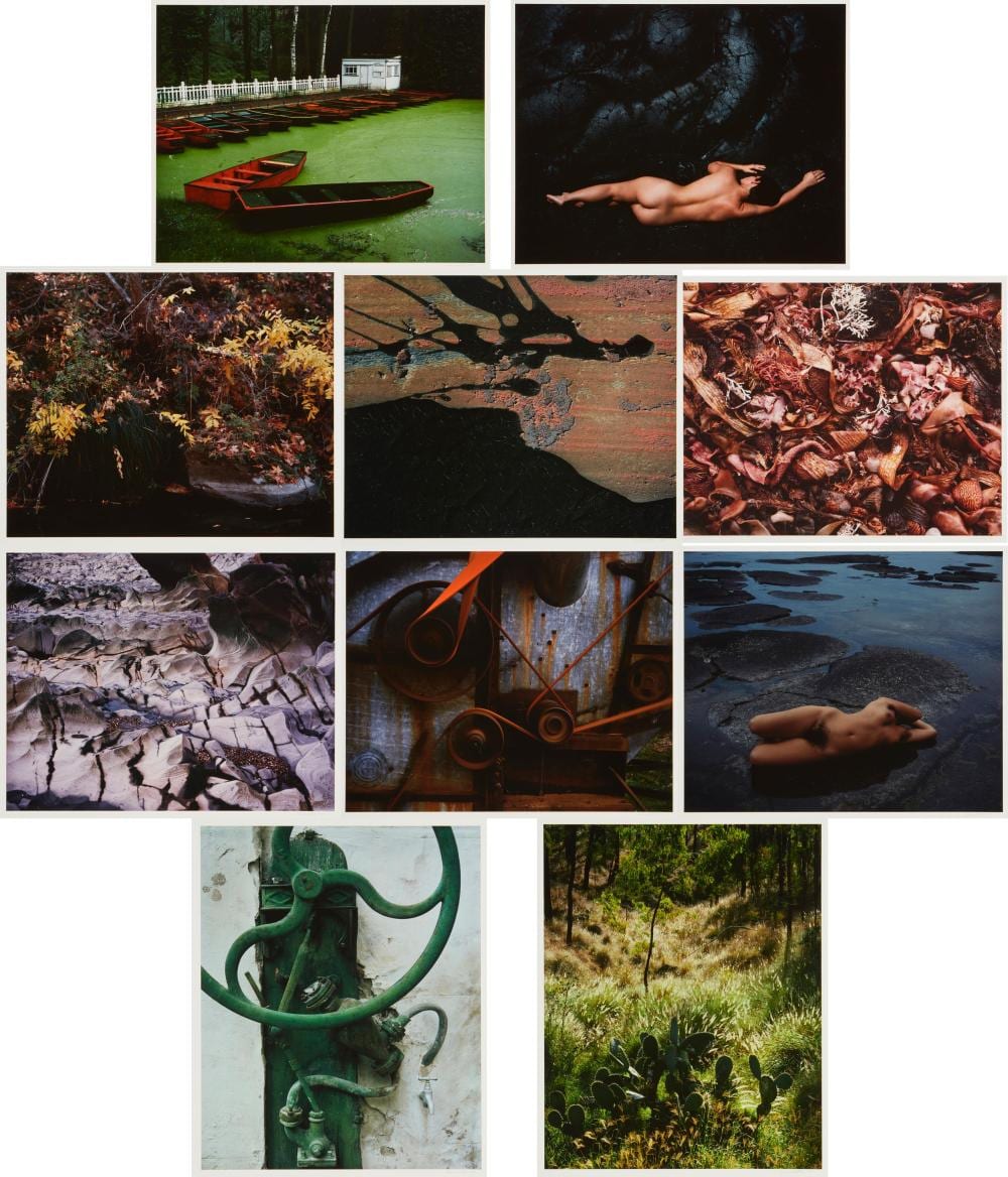 Cole Weston comparable auction result: cole weston 1919 2003 think of color as form portfolio 1983 88