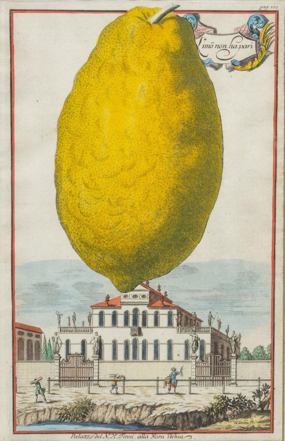 Johann Christoph Volckamer comparable auction result: johann christoph volckamer german 1644 1740 handcolored engraving on laid paper ca 18th c h 12 8 w 8 5