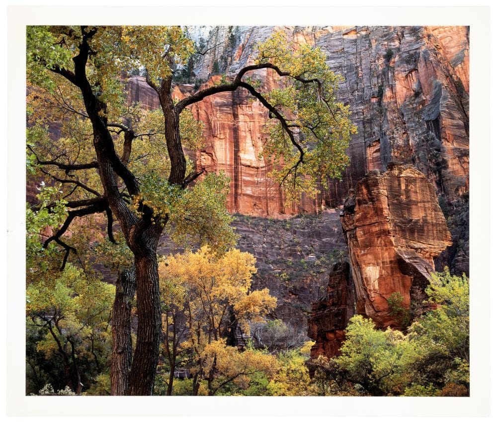 Richard Garrod comparable auction result: richard garrod color landscape signed