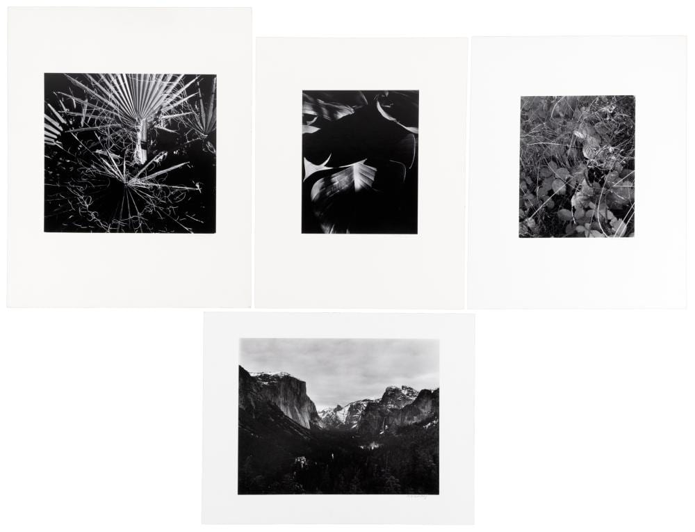 Bob Werling comparable auction result: four photographs by bob werling
