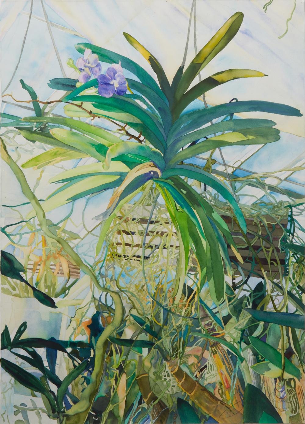 janice cartier american louisiana texas b 1952 vanda orchid h 33 in w 22 1 2 in cardstock h 40 1 8 in w 32 1 4 in · Crescent City Auction Gallery · 2024-06-14 Janice Cartier comparable auction result: janice cartier american louisiana texas b 1952 vanda orchid h 33 in w 22 1 2 in cardstock h 40 1 8 in w 32 1 4 in