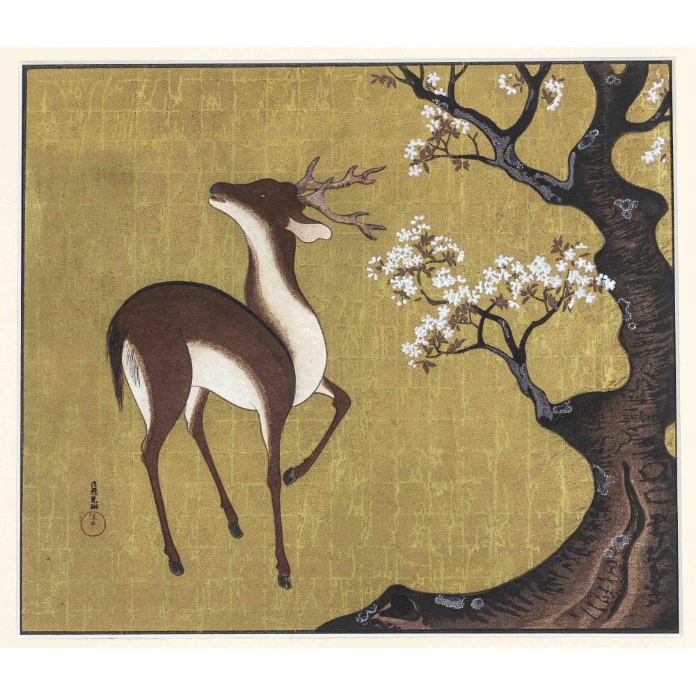 Ogata Korin comparable auction result: ogata korin 1658 1716 after rim