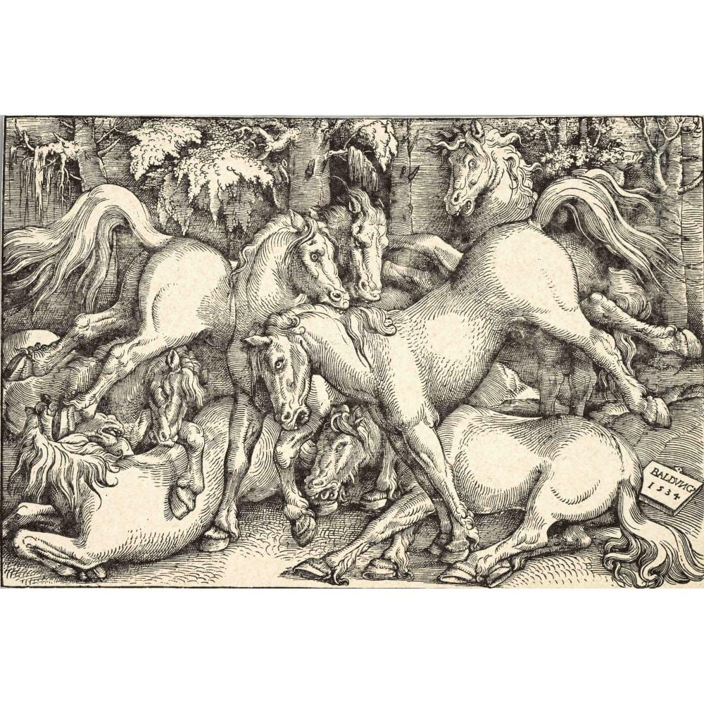 Hans Baldung Grien comparable auction result: hans baldung grien 1484 85 1545