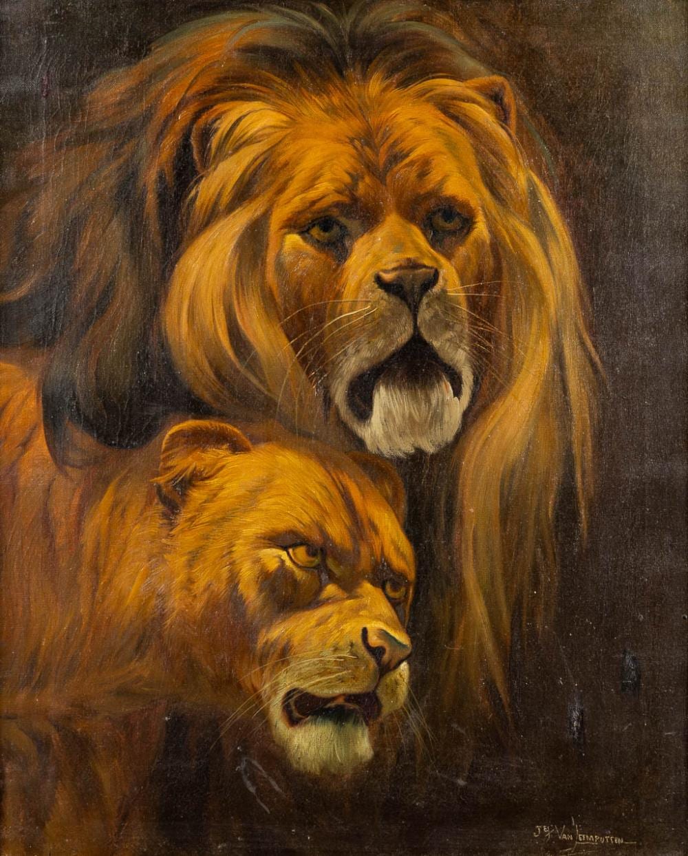 Jef van Leemputten comparable auction result: jef van leemputten 1867 1948 lions w 50 x h 60 cm