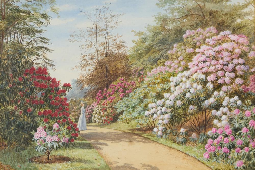 Marian Emma Chase comparable auction result: marian emma chase 1844 1905 rhododendron walk