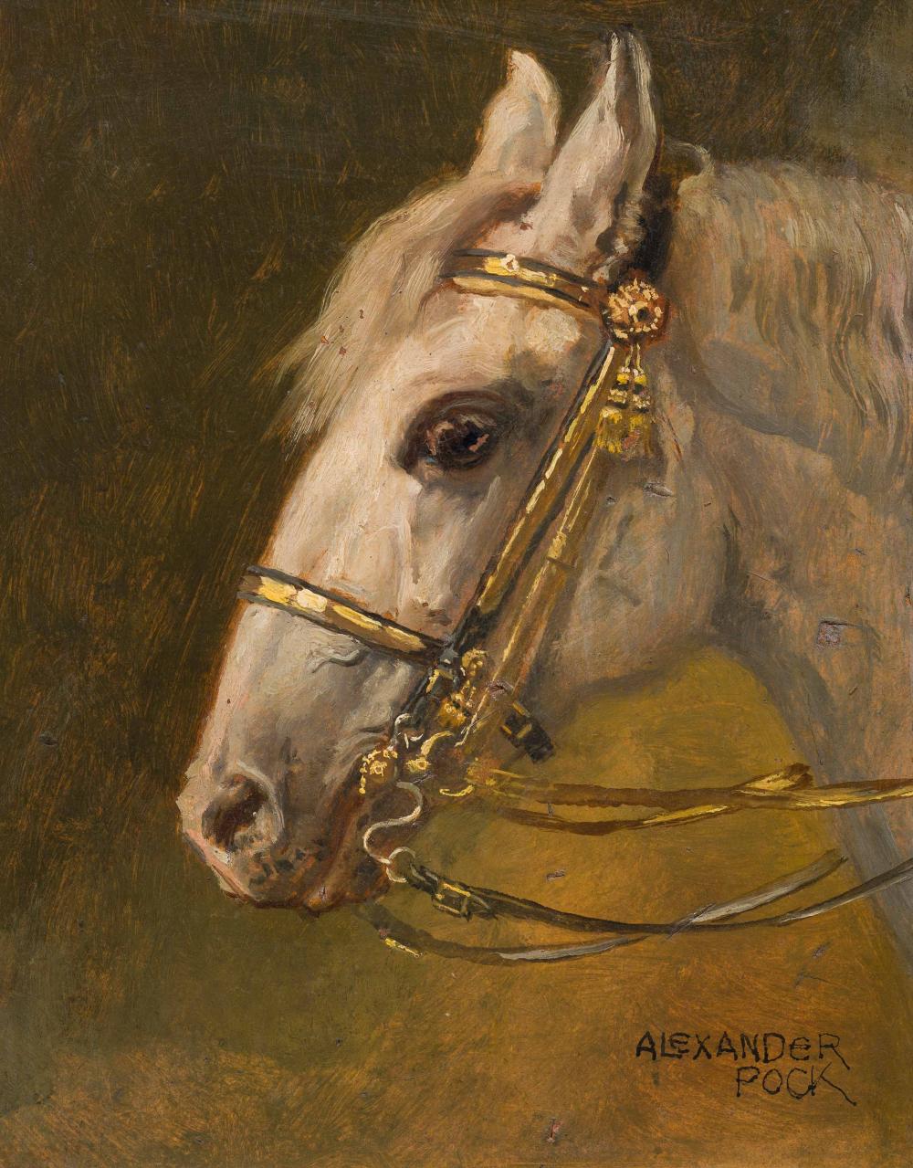 Alexander Pock comparable auction result: alexander pock pferdekopf