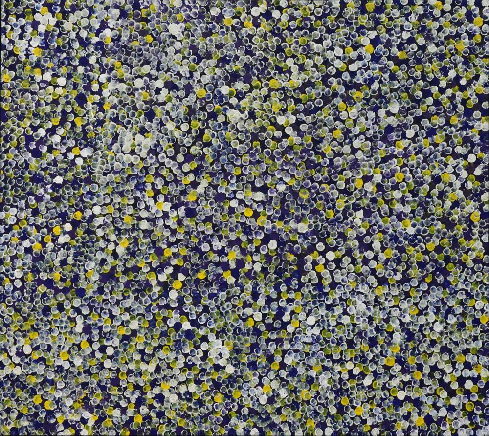 Polly Ngale comparable auction result: polly ngale c 1936 2022 bush plum