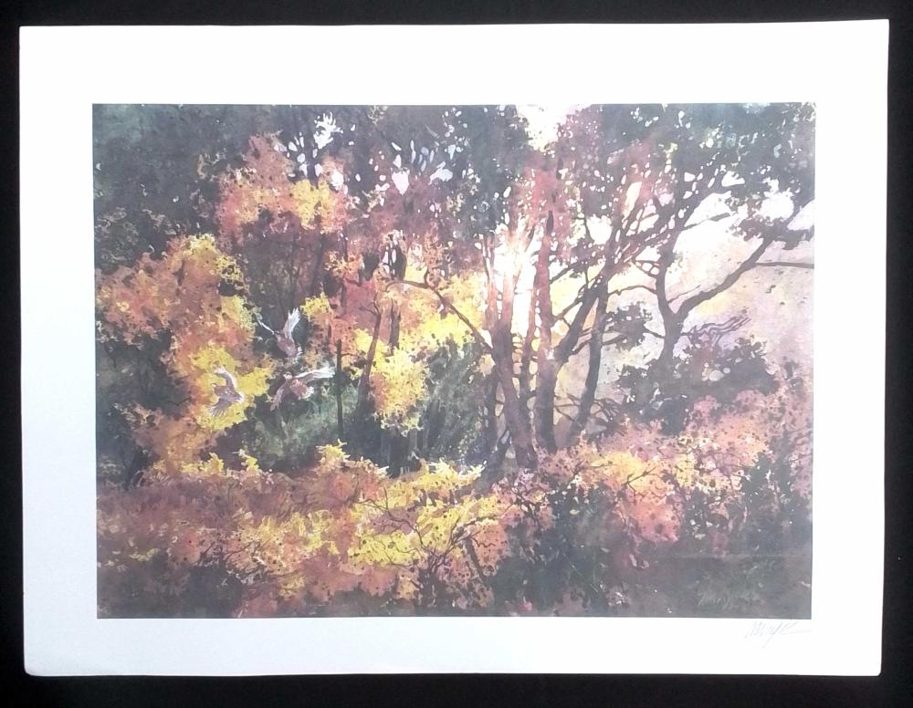 tom lynch signed illinois landscape print · EJ'S Auction & Appraisal · 2024-06-15 Tom Lynch comparable auction result: tom lynch signed illinois landscape print