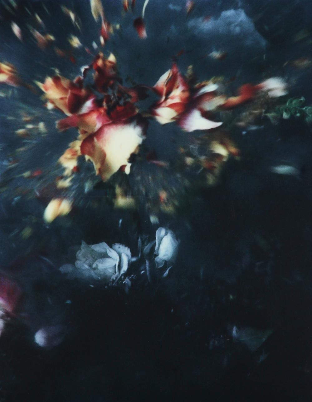 Ori Gersht comparable auction result: ori gersht