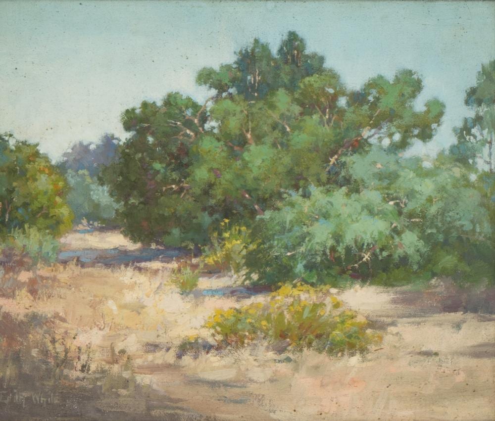edith white 1855 1946 summer · Abell Auction · 2024-06-20 Edith White comparable auction result: edith white 1855 1946 summer