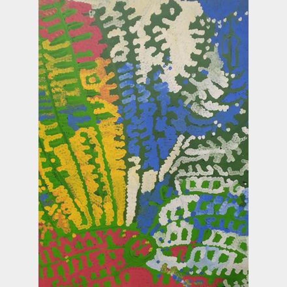 Lorna Fencer Napurrula comparable auction result: lorna fencer napurrula c1920 2006 little white potato acrylic on canvas 128 x 97 5 cm stretched inscribed verso title and a