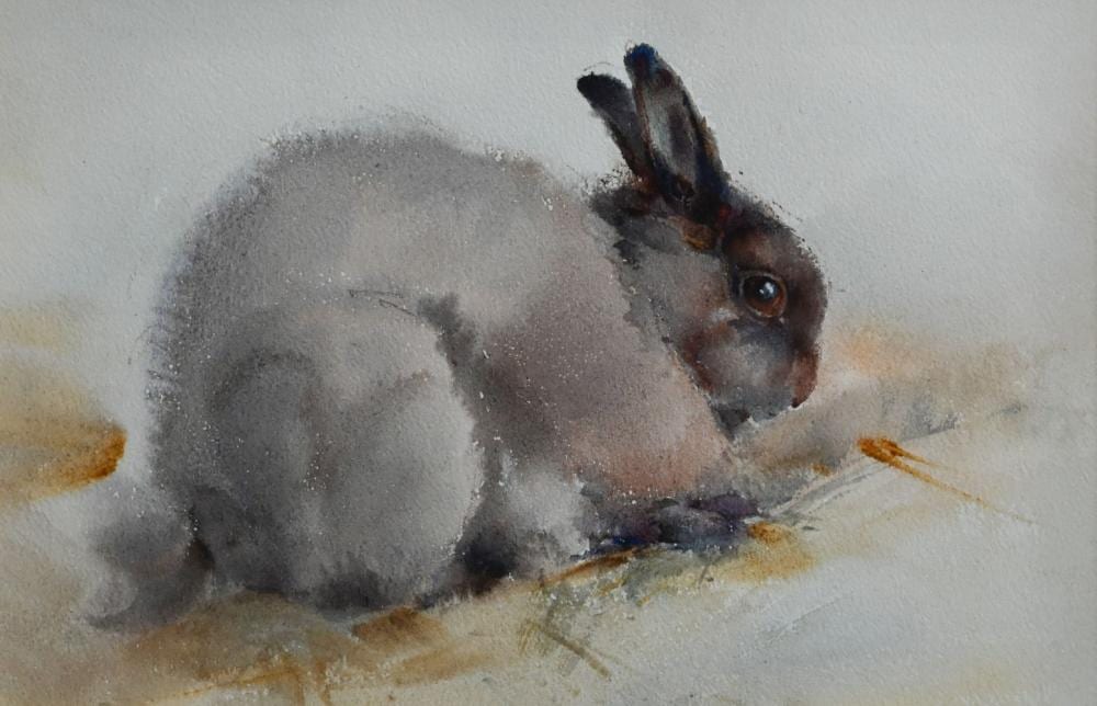 ian armour chelu 1928 2000 rabbit netherlands dwarf watercolour 15 x 23 5 cm · Andrew Smith & Son · 2024-06-26 Ian Armour-Chelu comparable auction result: ian armour chelu 1928 2000 rabbit netherlands dwarf watercolour 15 x 23 5 cm