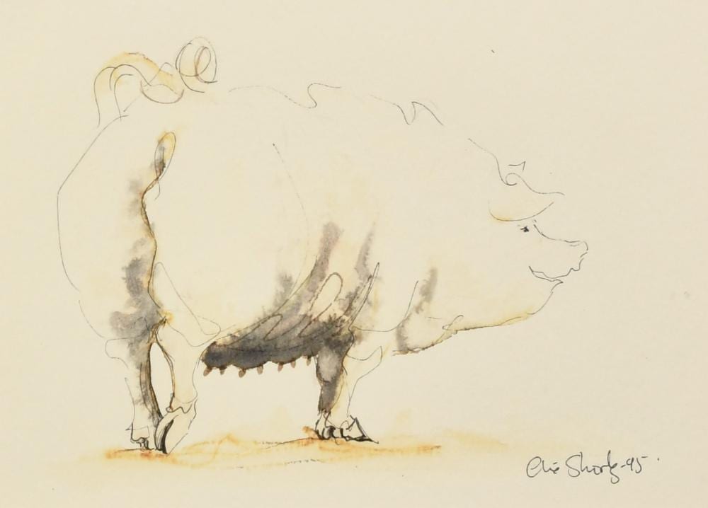 Claire Norrington comparable auction result: claire norrington b 1969 a happy pig watercolour signed claire shirley 7 x 9 5 18 x 24cm