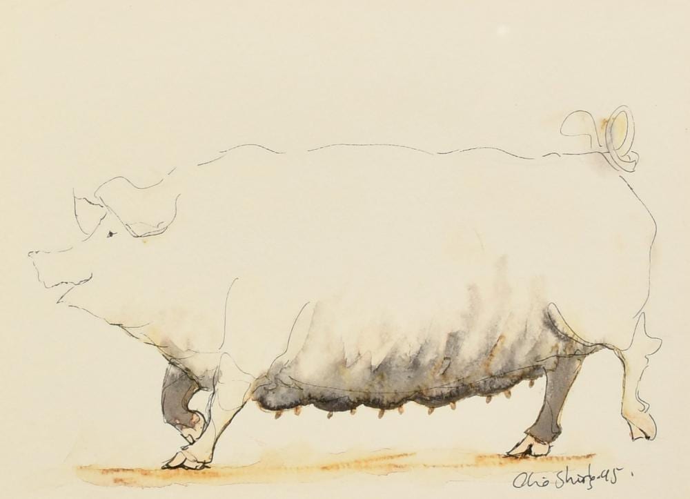 Claire Norrington comparable auction result: claire norrington b 1969 a pig standing on two legs watercolour signed claire shirley 7 x 9 5 18 x 2