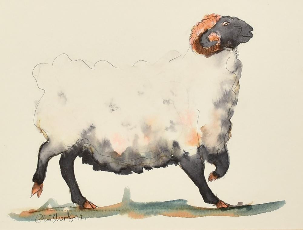 Claire Norrington comparable auction result: claire norrington b 1969 a poised ram watercolour signed claire shirley 7 x 9 5 18 x 24cm