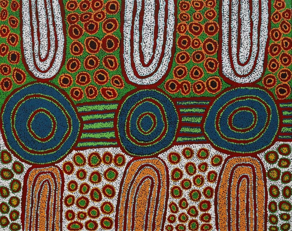 Debra Young Nakamarra comparable auction result: debra young nakamarra my country acrylic on linen 80cm x 100cm