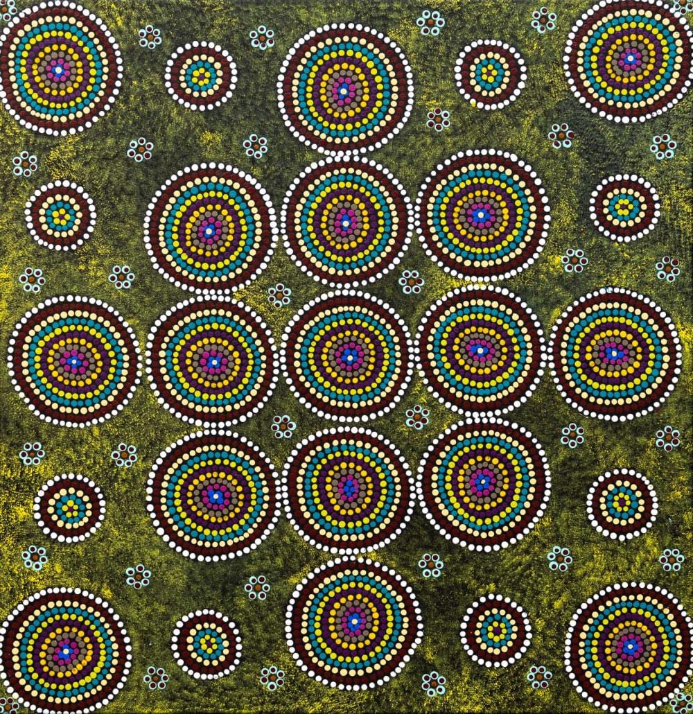 Linda Gibson Nangala comparable auction result: linda gibson nangala bush flowers and seeds acrylic on canvas 72cm x 74cm