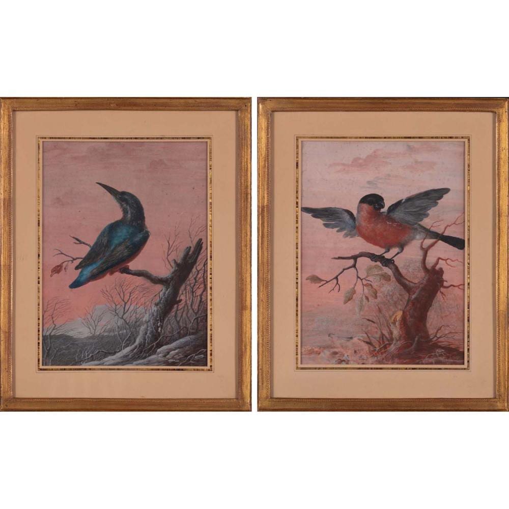 Christoph Ludwig Agricola comparable auction result: christoph ludwig agricola 1665 1719 two birds kingfisher and bullfinch