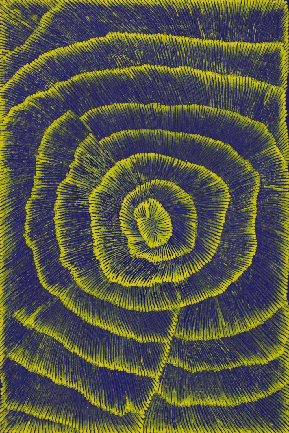 Lily Sandover Kngwarreye comparable auction result: lily sandover kngwarreye 1942 2003 alwert 2001