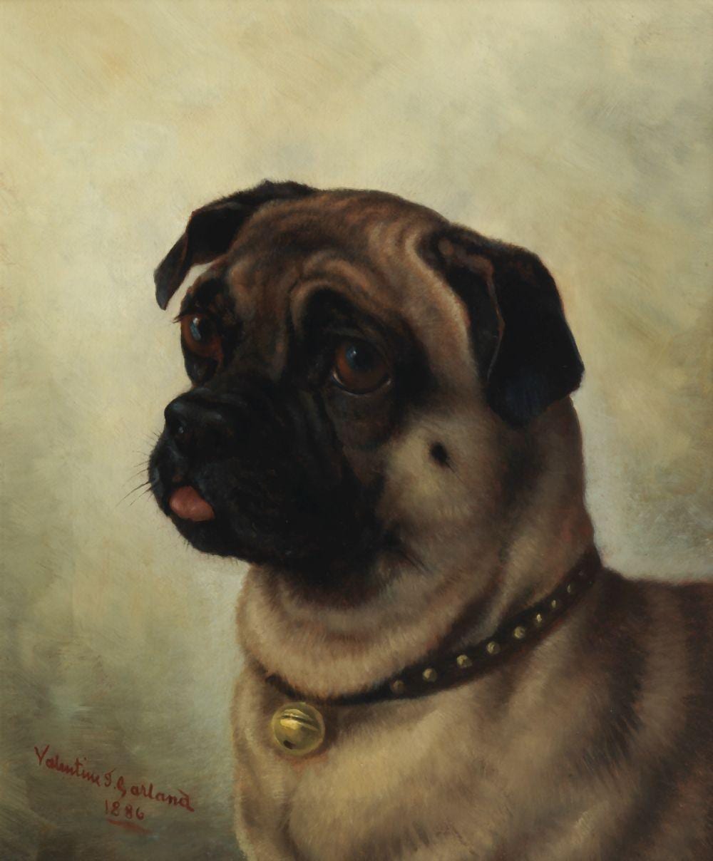 Valentine Thomas Garland comparable auction result: valentine thomas garland british 1868 1914 portrait of a pug