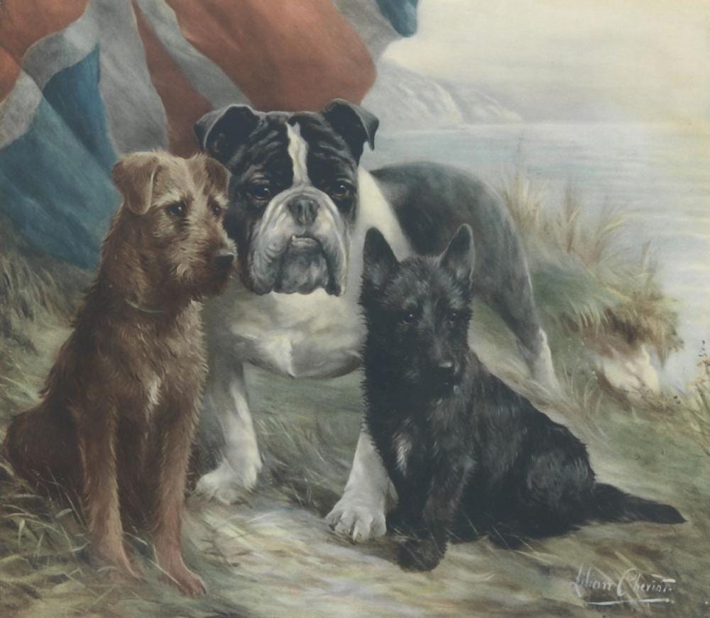 Lilian Cheviot comparable auction result: lilian cheviot british 1876 1936 the dogs of great britain image 38 x 46cm 14 15 16 x 18 1 8in published in 1916