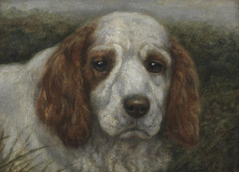 Edward Aistrop comparable auction result: edward aistrop british active 1880 1920 head study of the champion clumber spaniel beechgrove donally