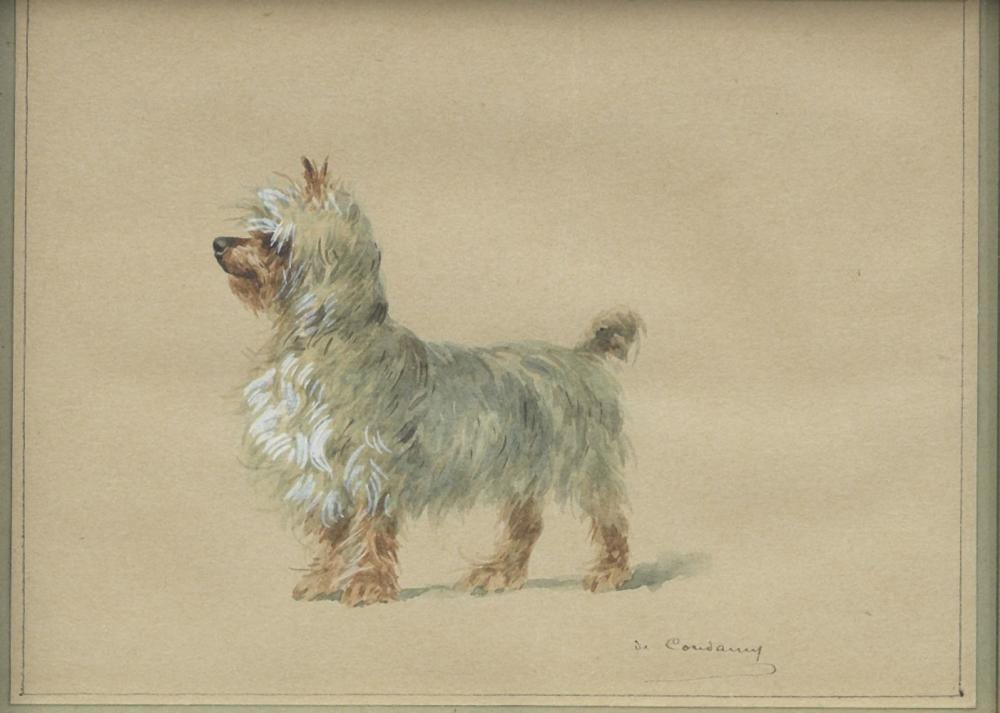 Charles-Fernand de Condamy comparable auction result: charles fernand de condamy french 1855 1913 a yorkshire terrier