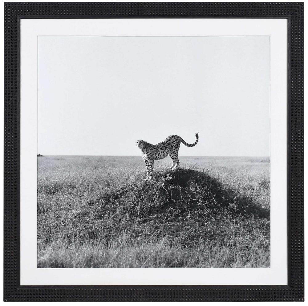 patrick demarchelier photograph cheetah · Brunk Auctions · 2024-07-31 Patrick Demarchelier comparable auction result: patrick demarchelier photograph cheetah