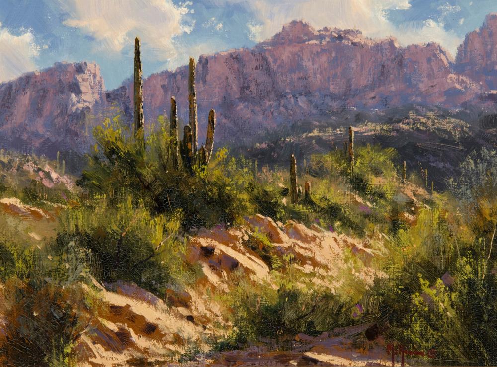 Kenny McKenna comparable auction result: kenny mckenna morning at sabino canyon