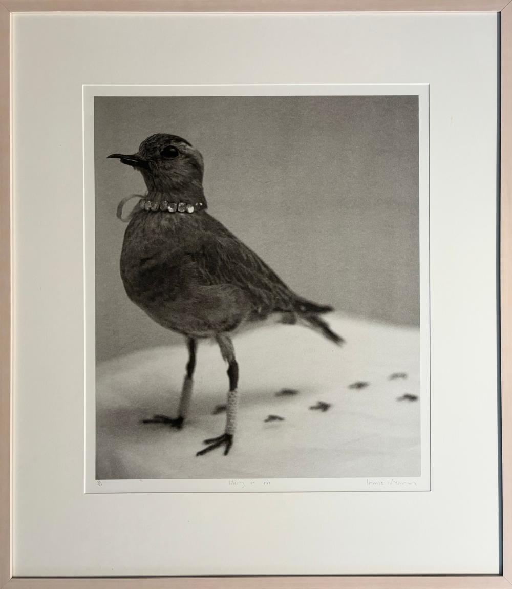Louise Weaver comparable auction result: louise weaver 1966 australia liberty or love
