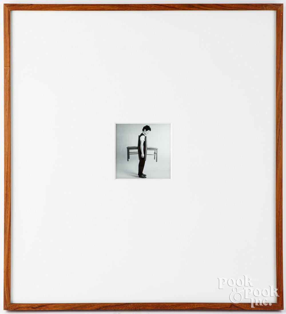 Ann Hamilton comparable auction result: ann hamilton photograph
