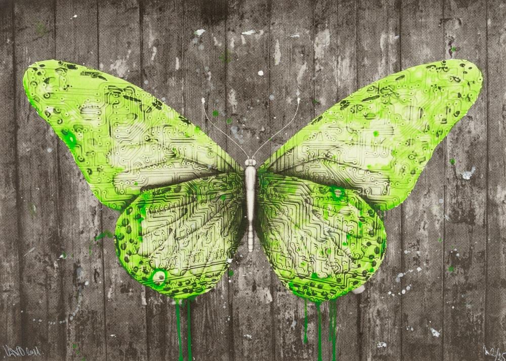 LUDO comparable auction result: ludo b 1976 e lepidoptera