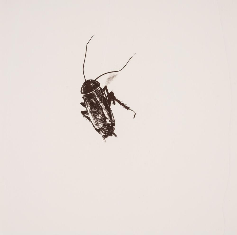 Helen Chadwick comparable auction result: helen chadwick 1953 1996 like a virgin from royal college of art printmaking portfolio 1994